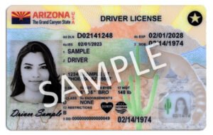 Driver-License-2023-300x190